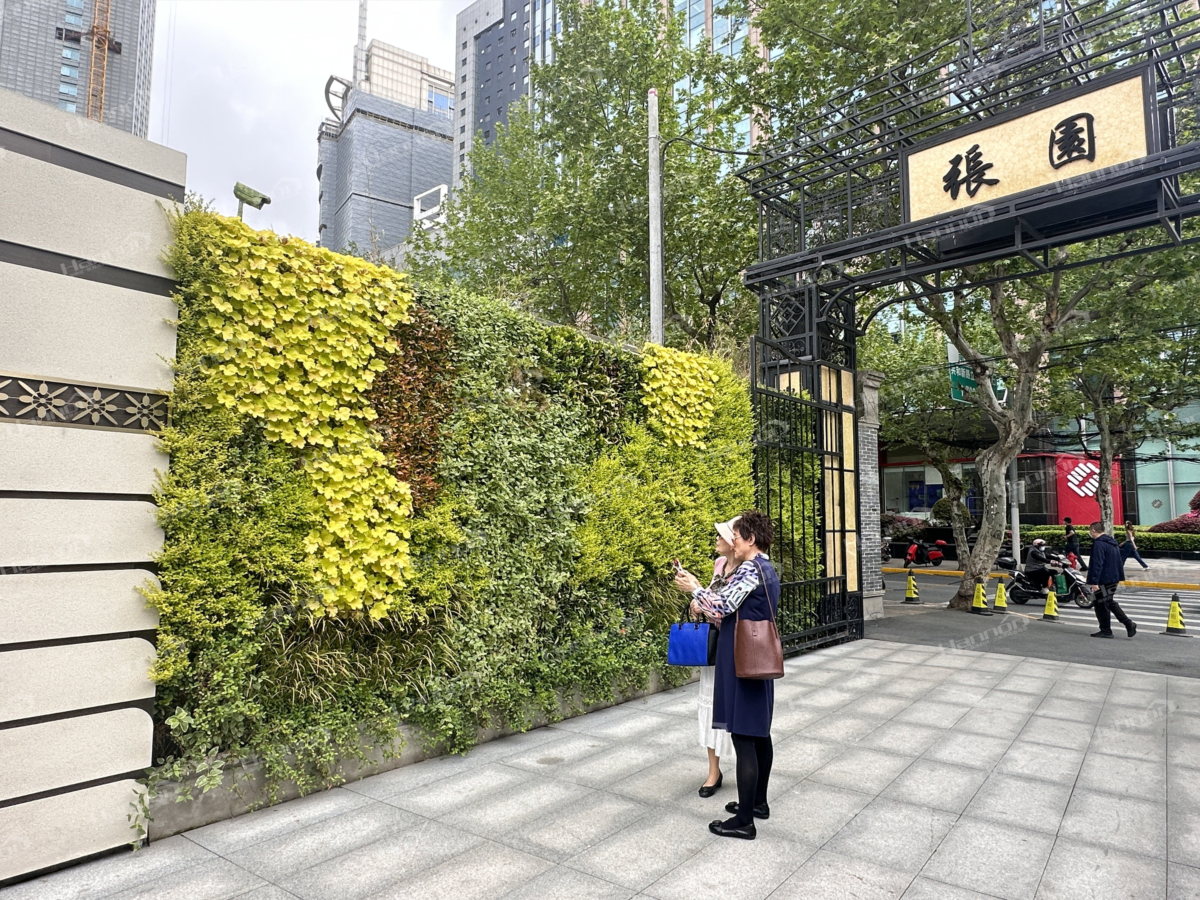 居家植物墙的做法