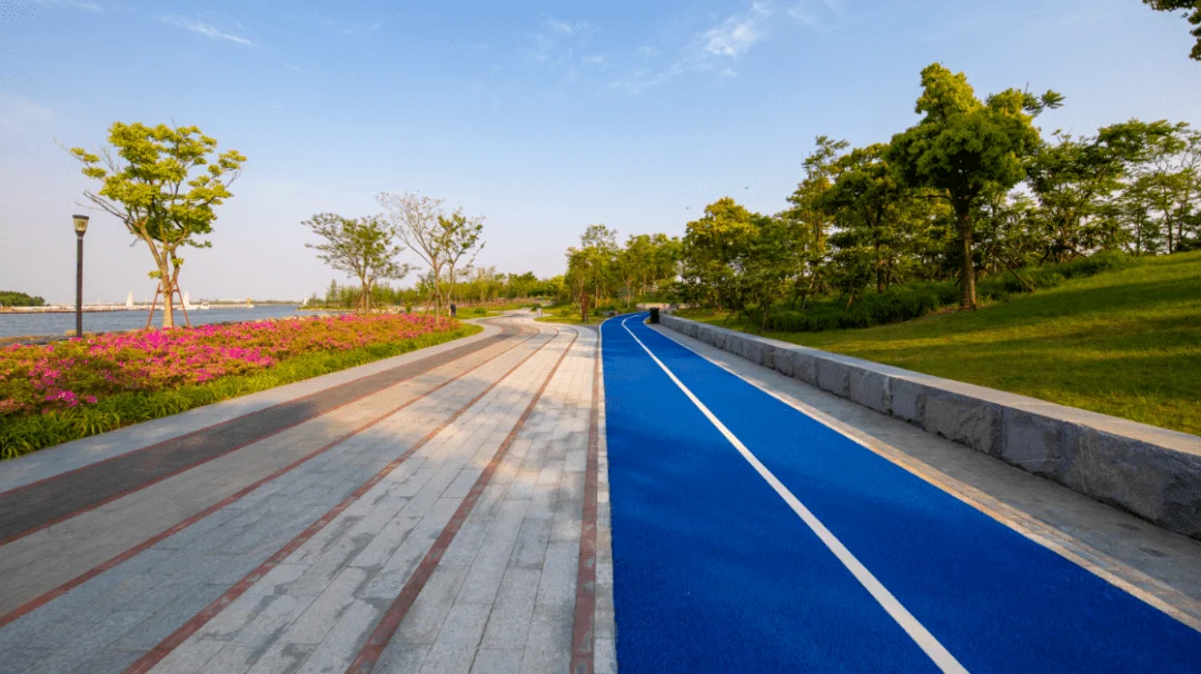 滴水湖環湖彩色瀝青路面②.png