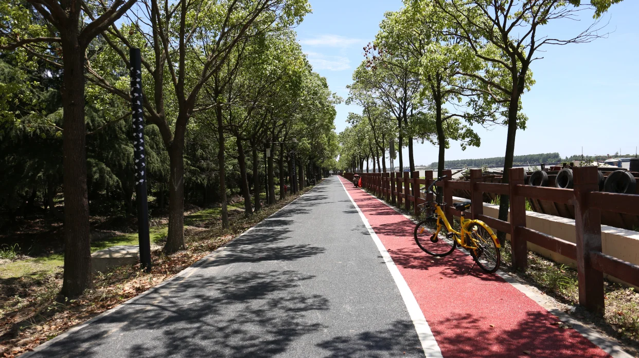 上海環湖透水混凝土綠道.jpeg