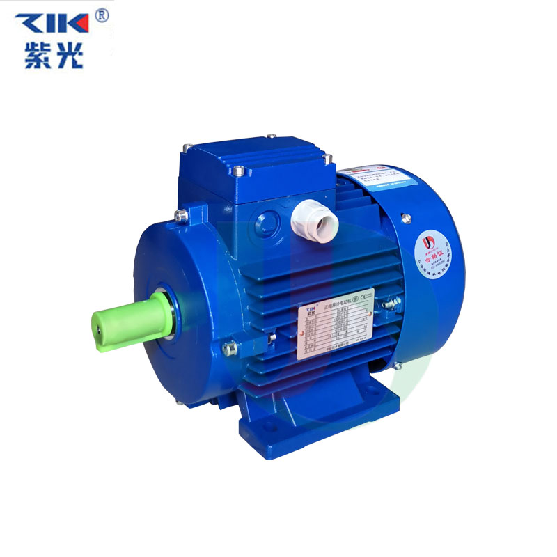 MS8022-B3臥式紫光電機現貨 MS8022-B3臥式紫光電機現貨