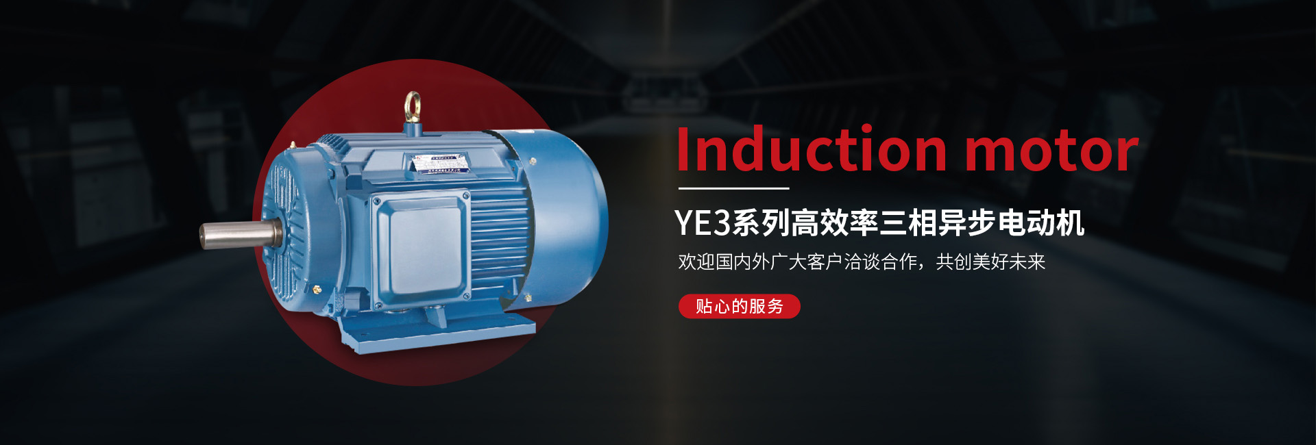 YE3系列高效率三相異步電動機