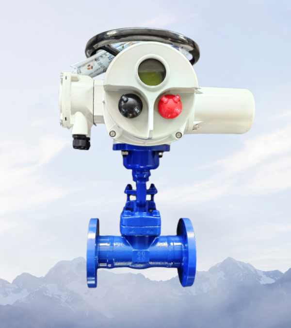 電動鍛鋼閘閥Z941H