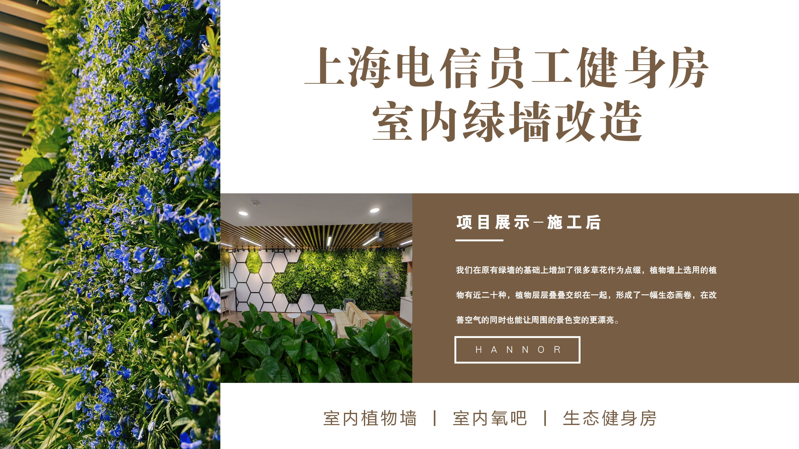 电信_05.png