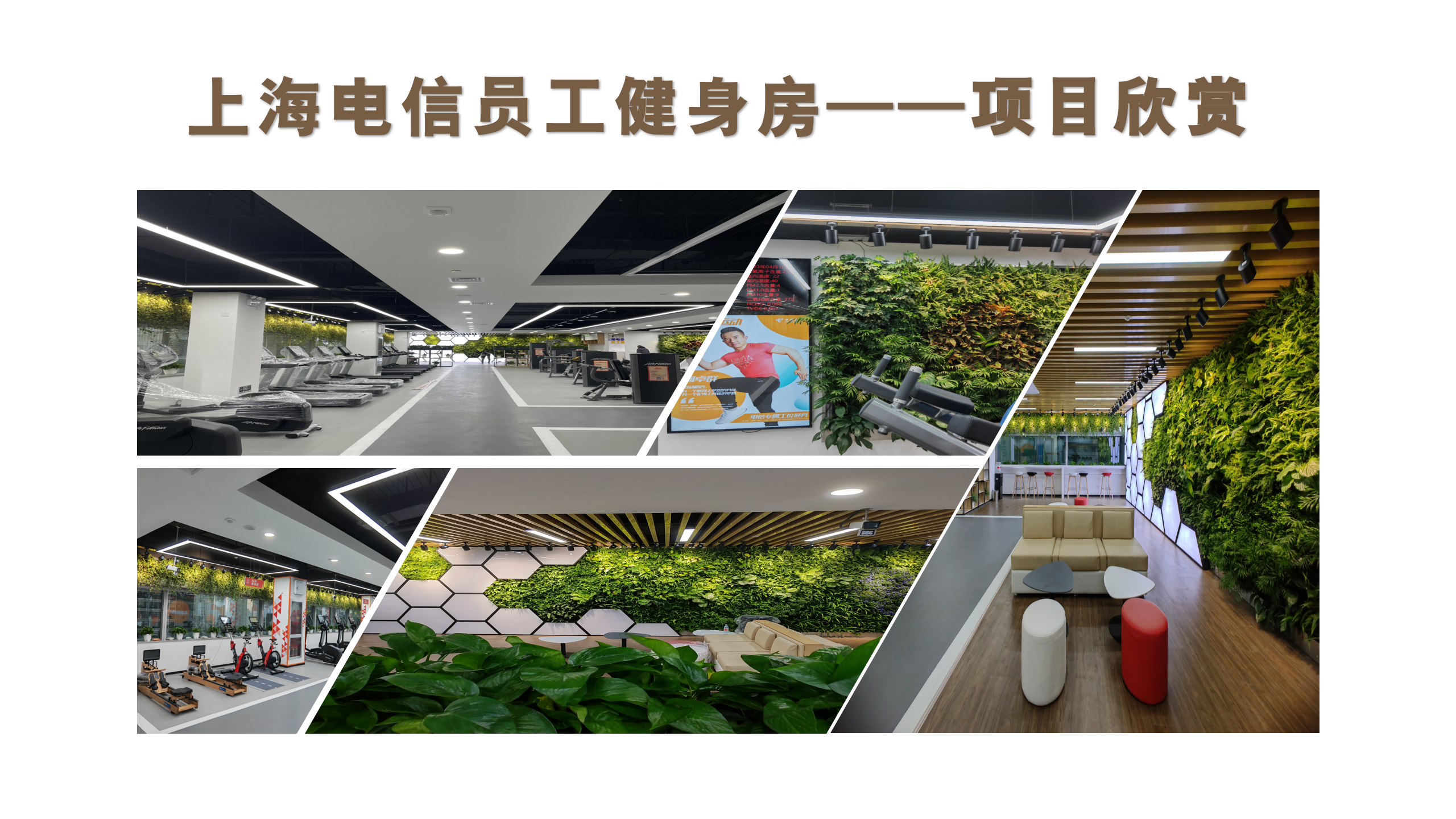 电信_06.png