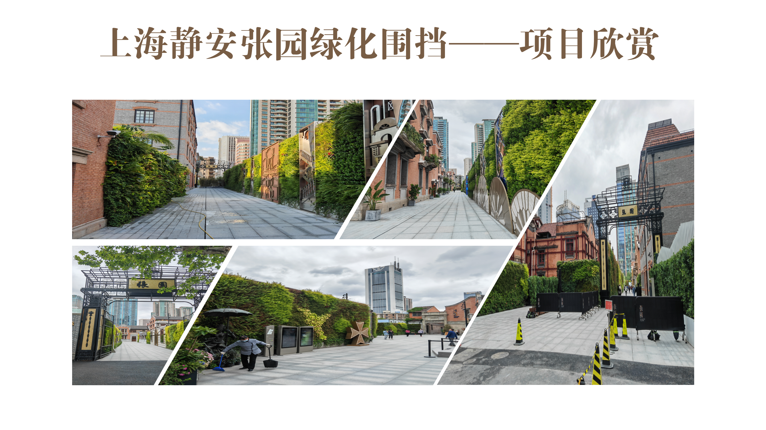 张园_06.png