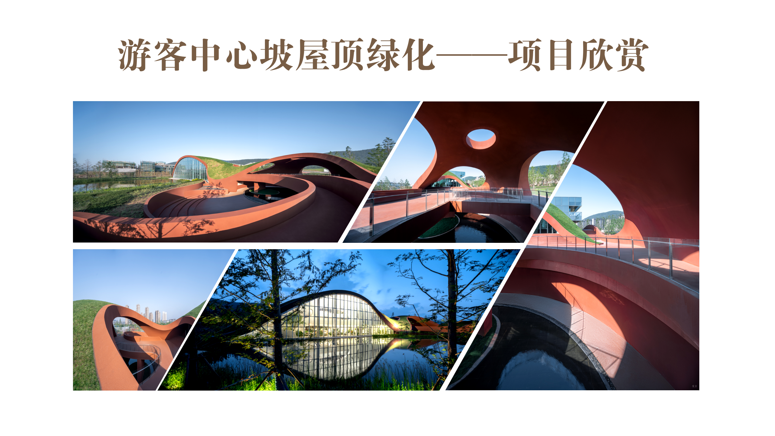 半汤温泉小镇游客中心坡屋顶绿化_06.png