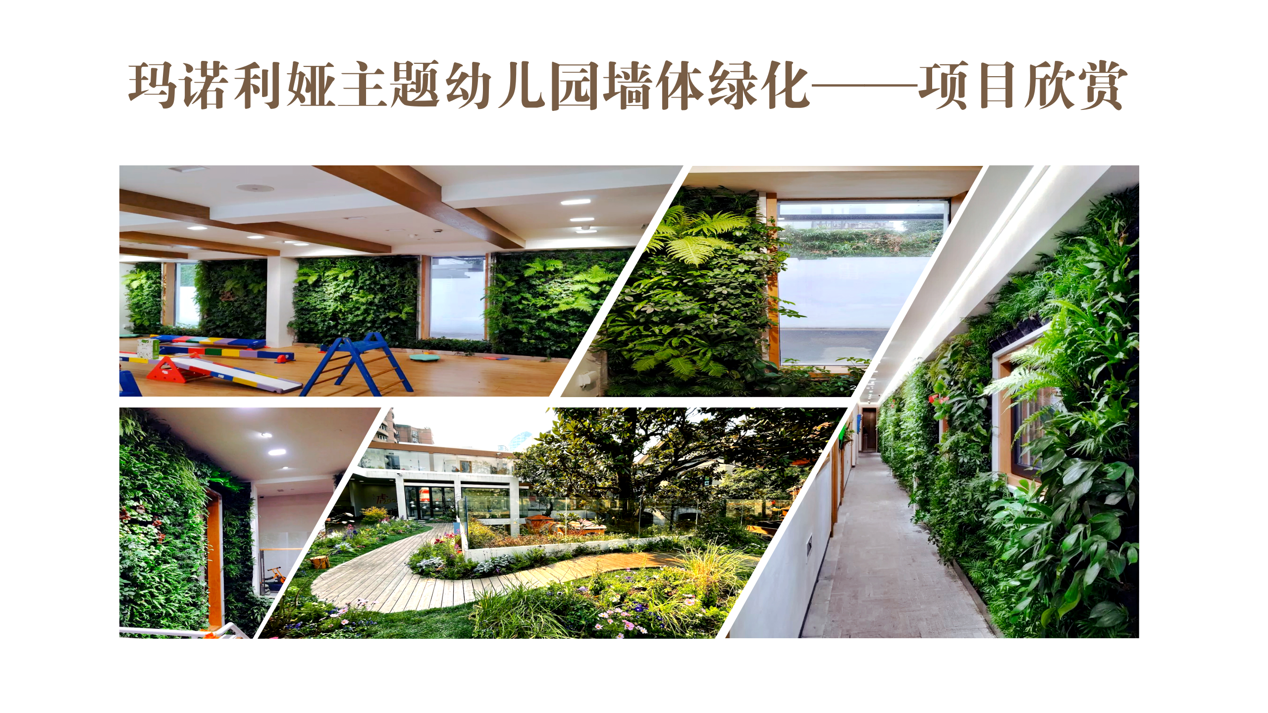 玛诺利娅主题幼儿园墙体绿化_06.png