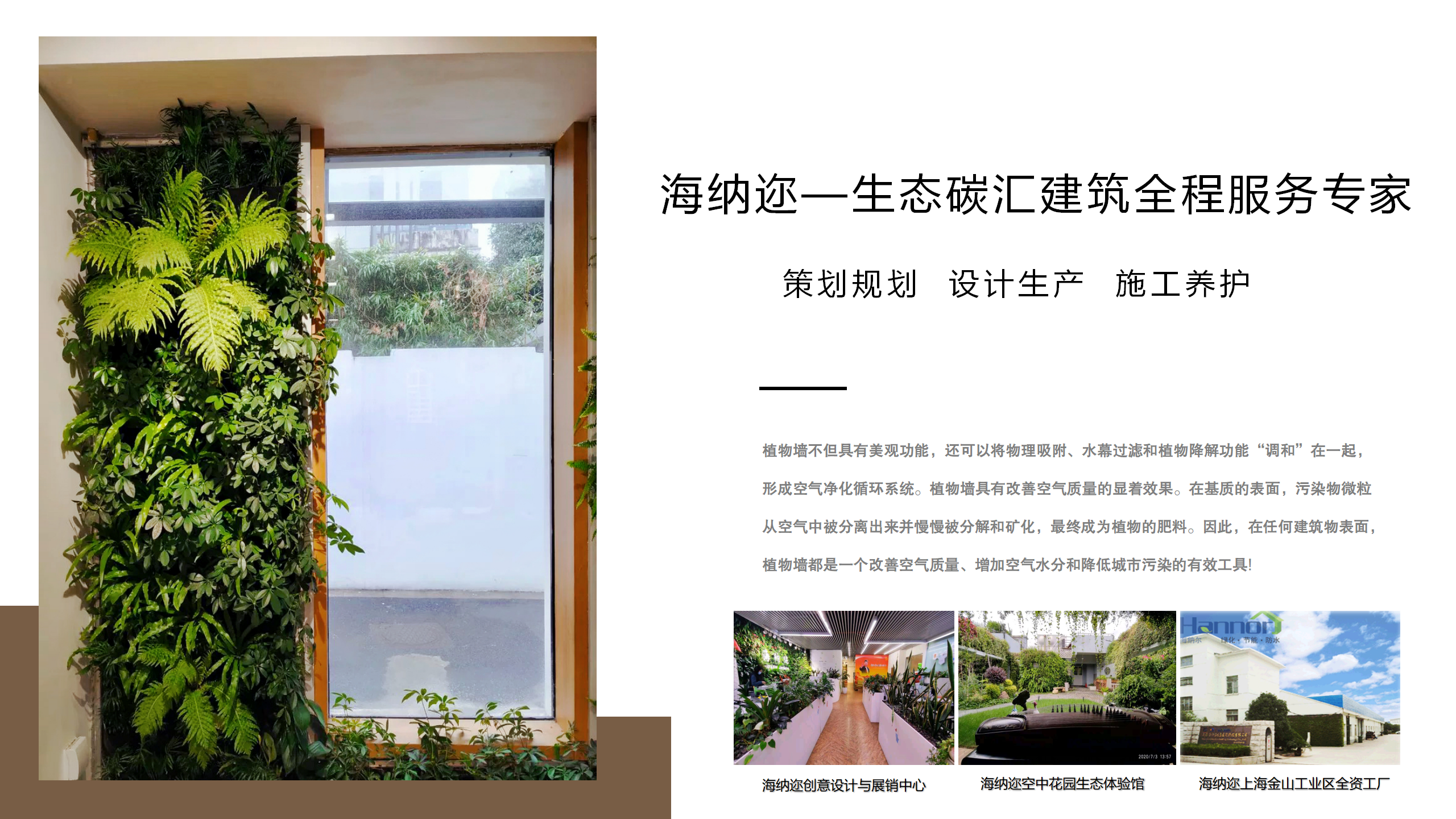 玛诺利娅主题幼儿园墙体绿化_07.png