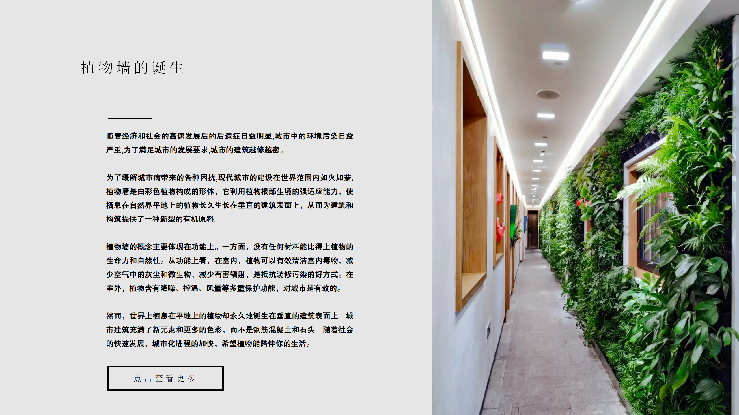 玛诺利娅主题幼儿园墙体绿化_02.png