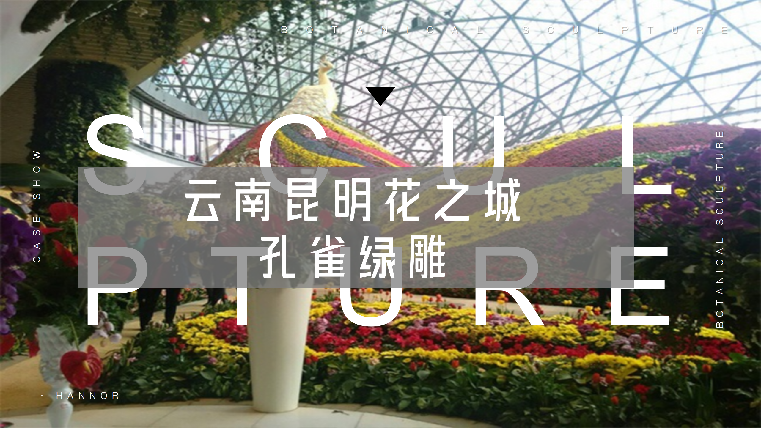 [ 生态绿雕 ] · 云南昆明花之城孔雀绿雕