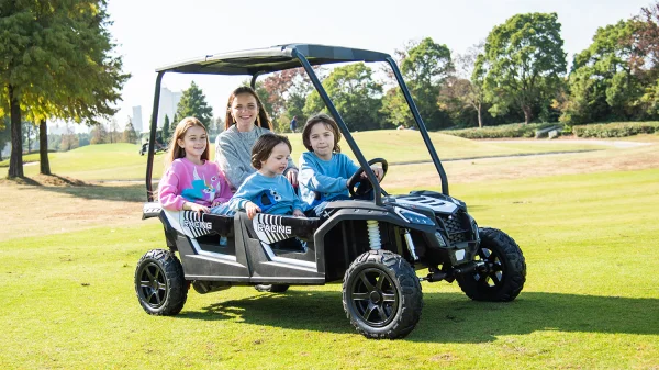 YSA-033-48V無刷電機(jī)四座充氣輪皮座