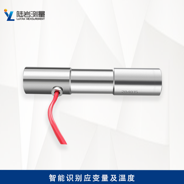 LY229振弦式鋼筋計
