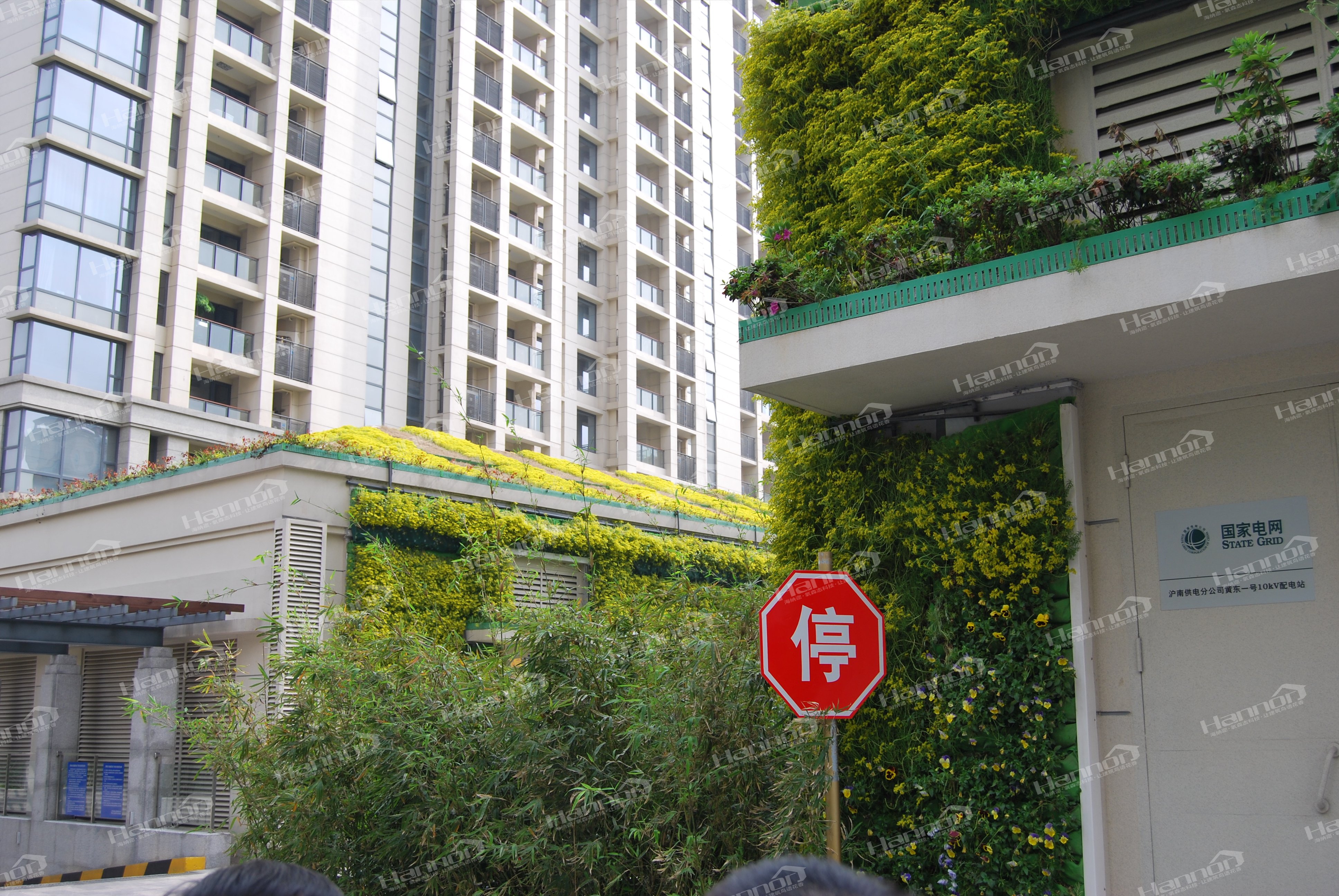 植物墙！创建和简化趋势