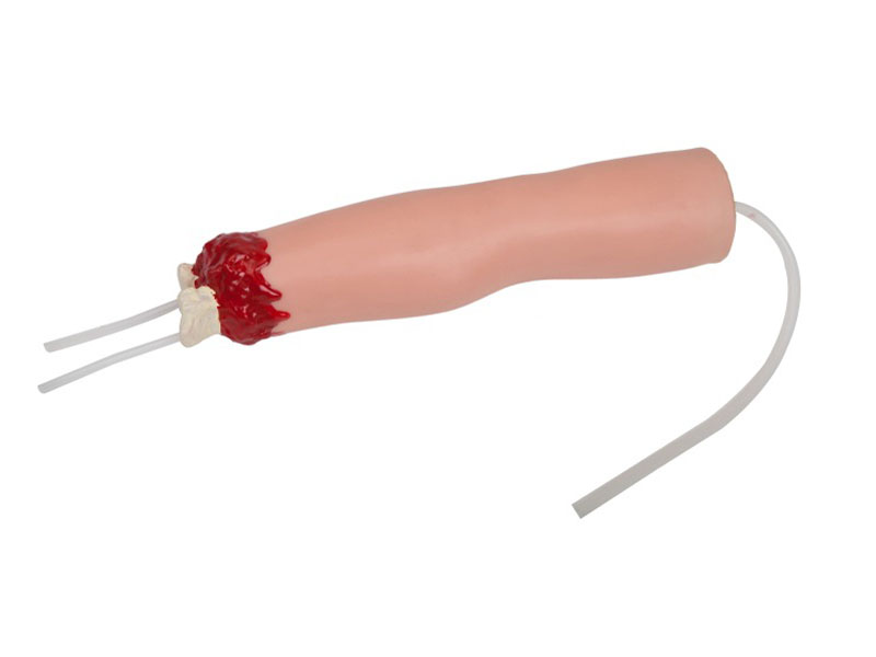 上肢外傷斷肢止血模型.jpg 上肢外傷斷肢止血模型.jpg