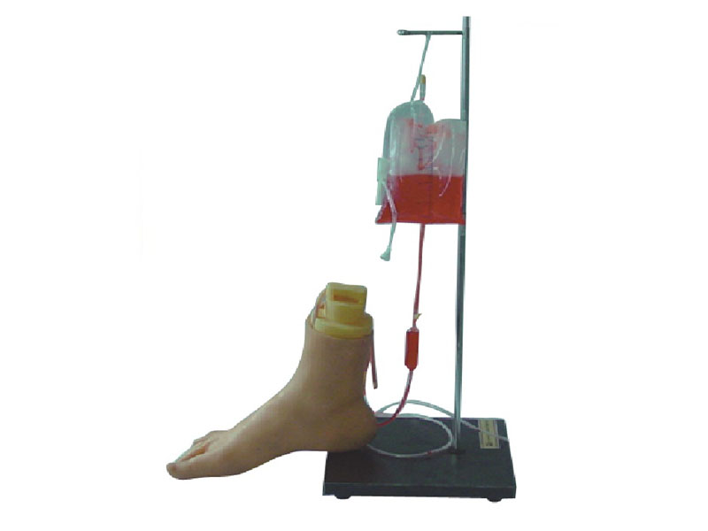 下肢足部靜脈注射仿真模型.jpg
