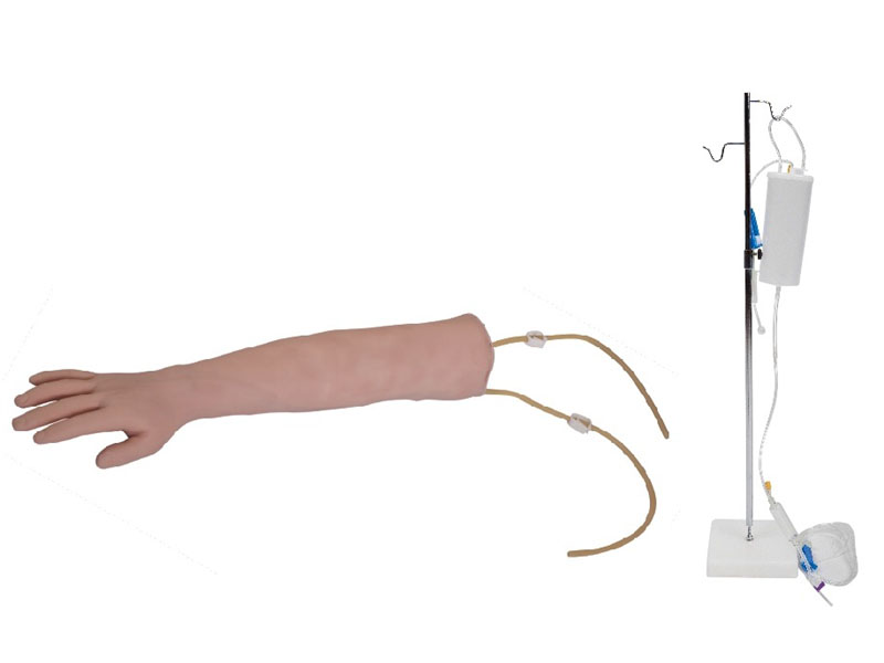 高級手臂靜脈穿刺訓練模型.jpg