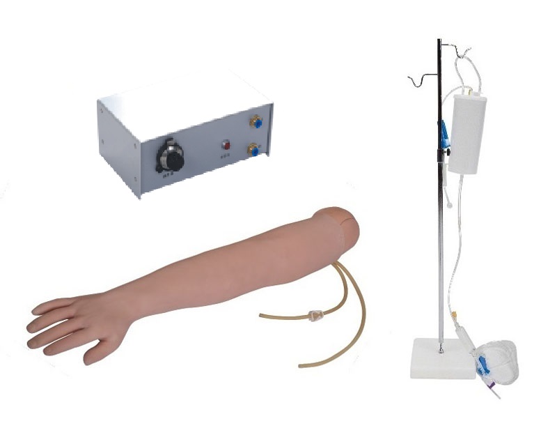 高級手臂靜脈穿刺及肌肉注射訓練模型（帶循環(huán)裝置）.jpg