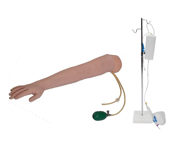 高級手臂動(dòng)脈穿刺及肌肉注射訓練模型.jpg