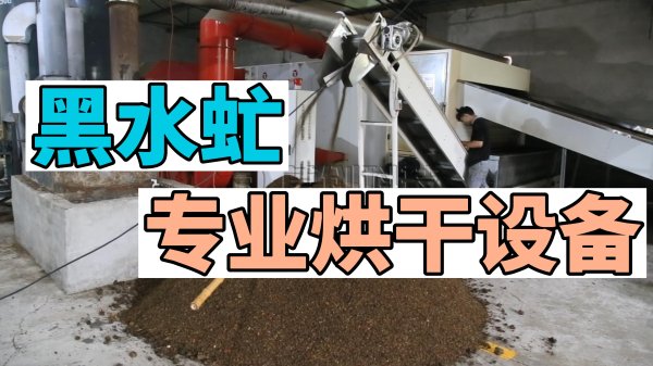 黑水虻烘干機(jī)_網(wǎng)帶式黑水虻烘干設(shè)備_專業(yè)黑水虻烘干機(jī)