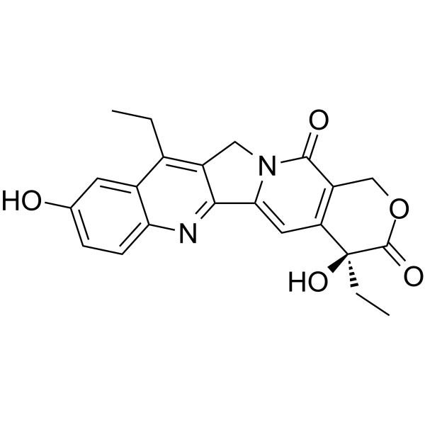 SN-38(NK012)