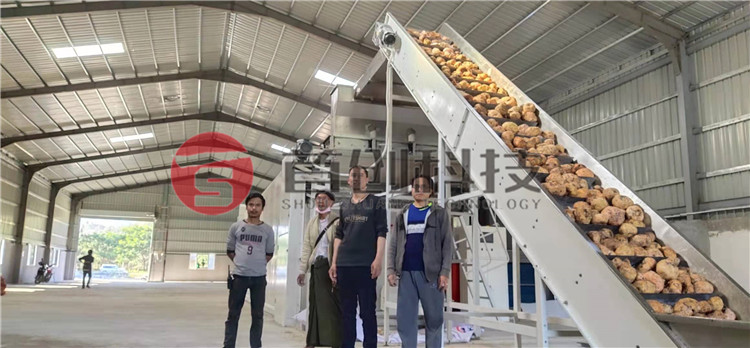 全自動(dòng)魔芋烘干機(jī)多少錢(qián)一臺(tái)？