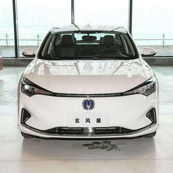 長(zhǎng)安逸動(dòng)EV460 智行網(wǎng)約版