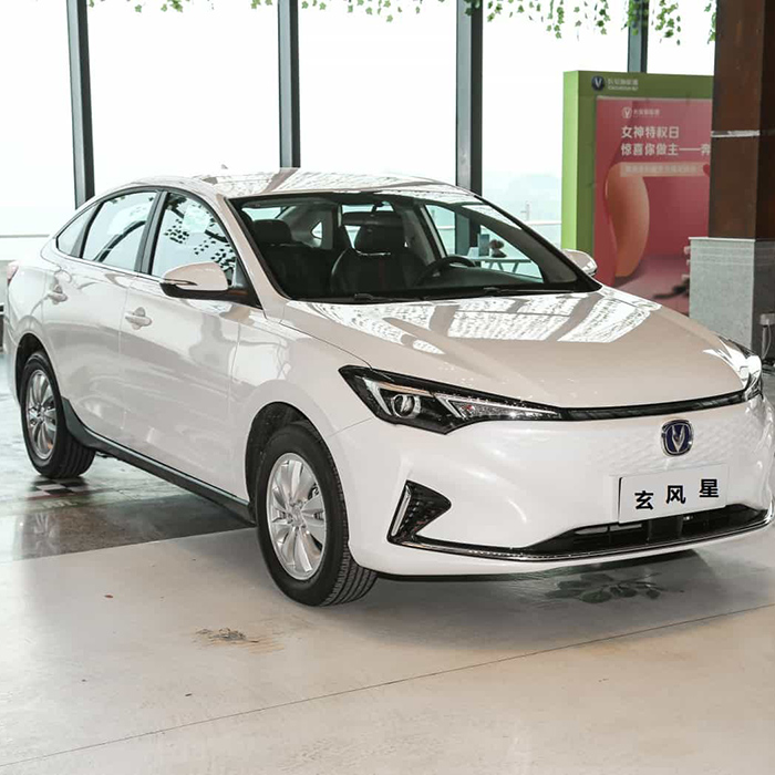 長(zhǎng)安逸動(dòng)EV460 智行網(wǎng)約版