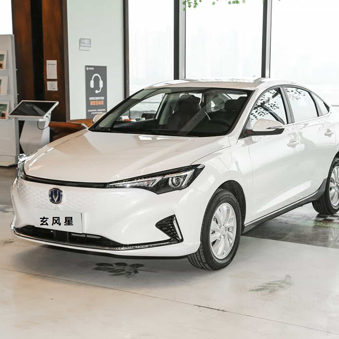 長(zhǎng)安逸動(dòng)EV460 智行網(wǎng)約版