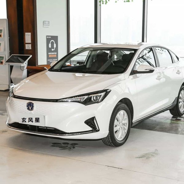 長(zhǎng)安逸動(dòng)EV460 智行網(wǎng)約版