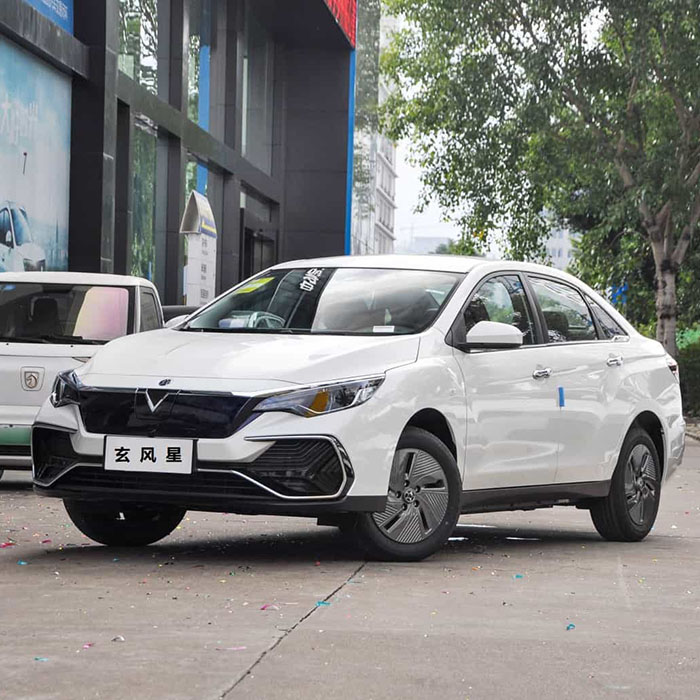 東風(fēng)啟辰D60 EV PLUS