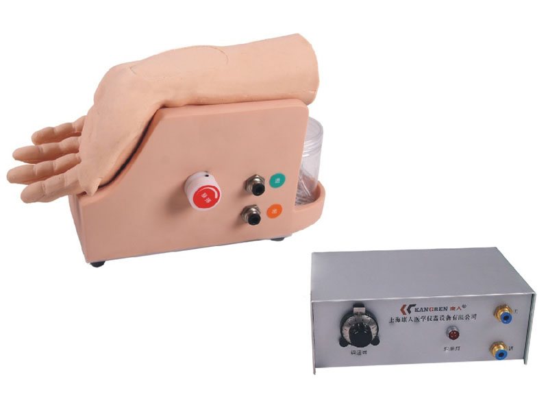 高級動(dòng)脈血氣分析訓練模型.jpg