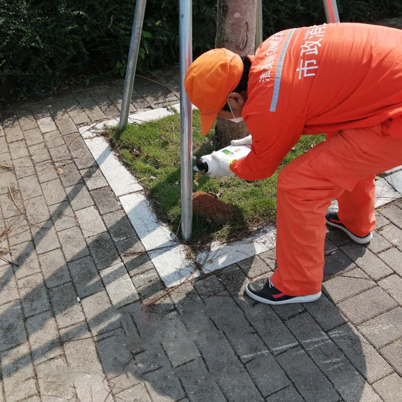 紅火蟻消殺