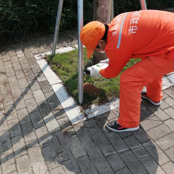 紅火蟻消殺
