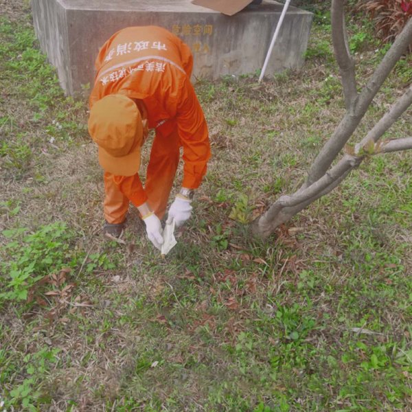 紅火蟻消殺