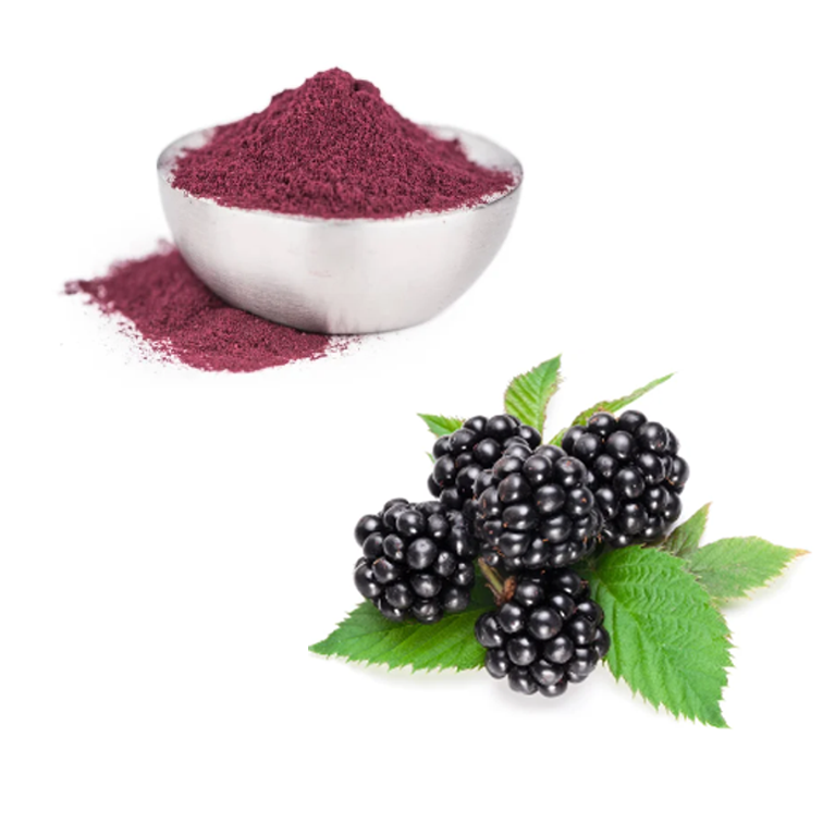 Pyoxanthin Bilberry Extract Capsules Supplier-Bilberry Extract Factory