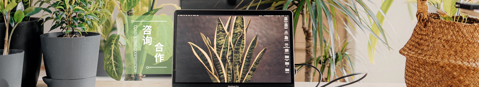 rBwBEmRh9tmAMdVYAAbUx2cvFHc553