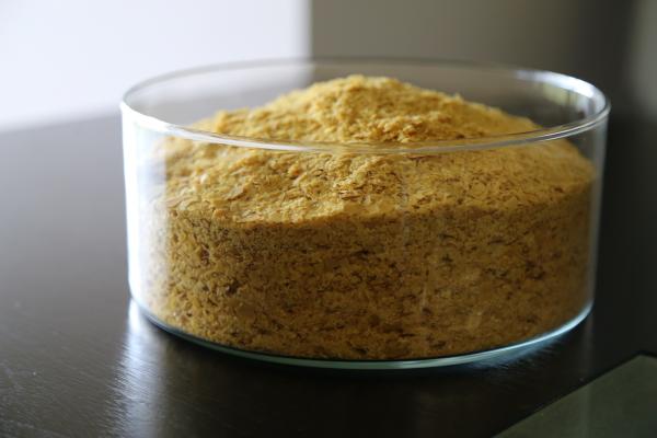 巴西棕櫚蠟的分類