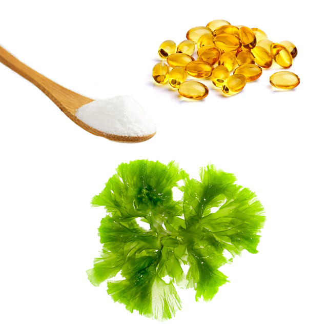 High Quality Clear Yellow Dha Oil-Fingers Manufacturer