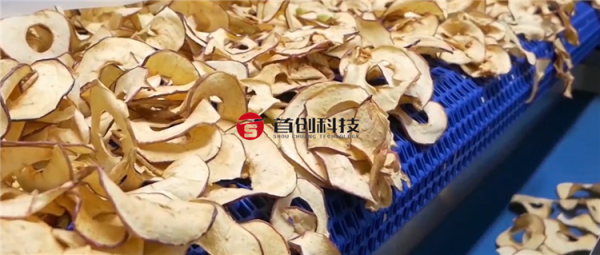 蘋(píng)果片烘干機(jī)