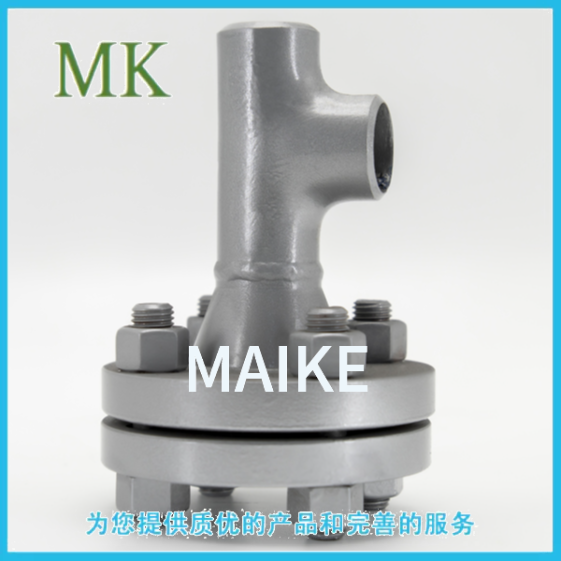 法蘭連接T型過(guò)濾器