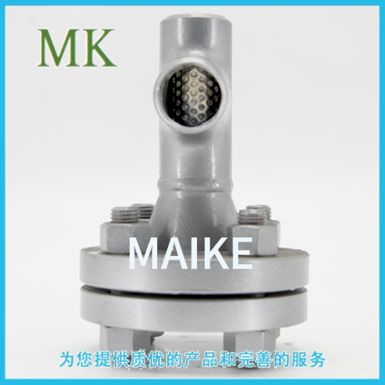 法蘭連接T型過濾器