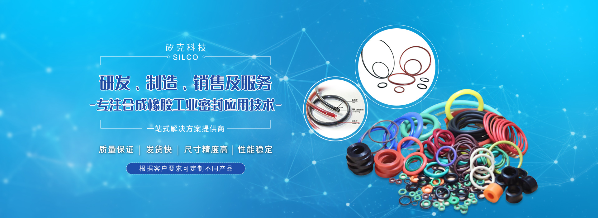 特種橡膠密封件