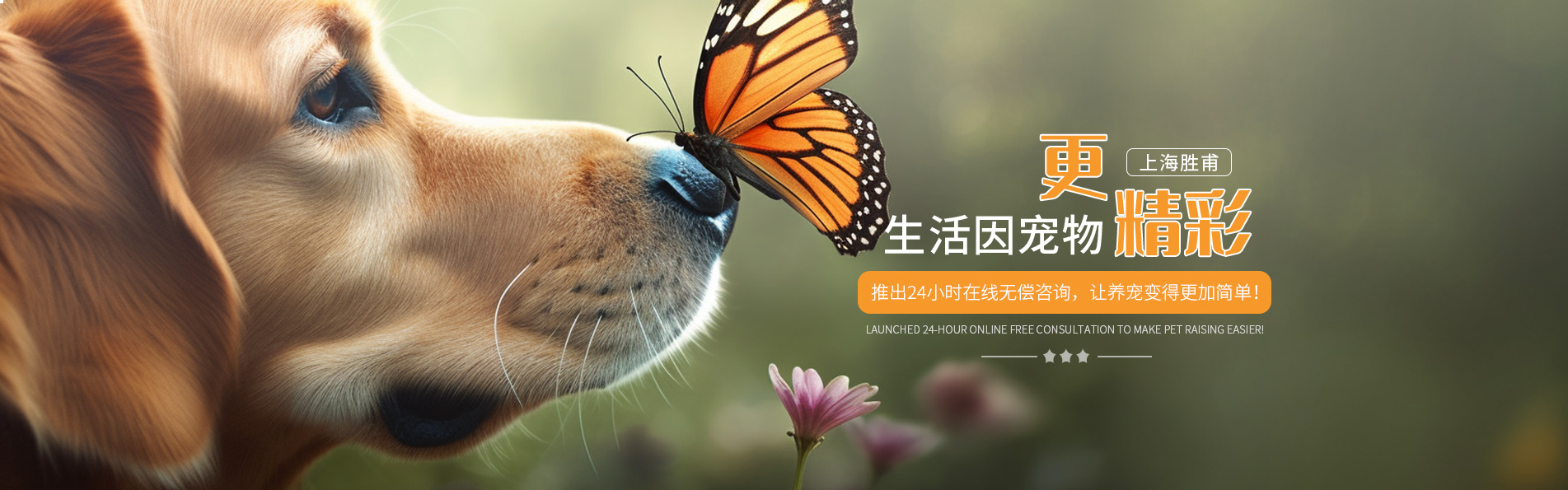 上海勝甫寵物用品有限公司