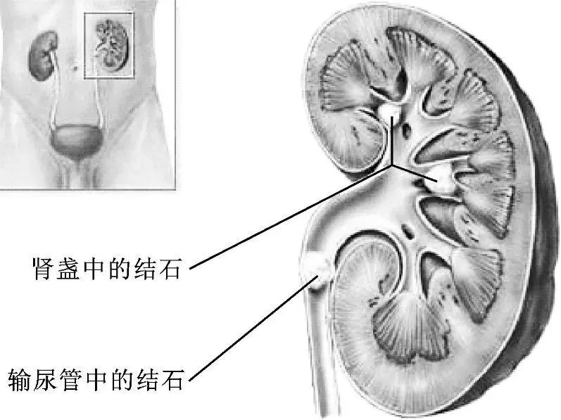 微信圖片_20220923163607.jpg