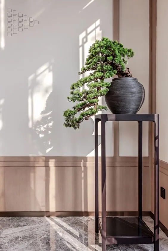 ecc87d39dce3519b39f1b12300984b71-sz_64841.webp (1).jpg