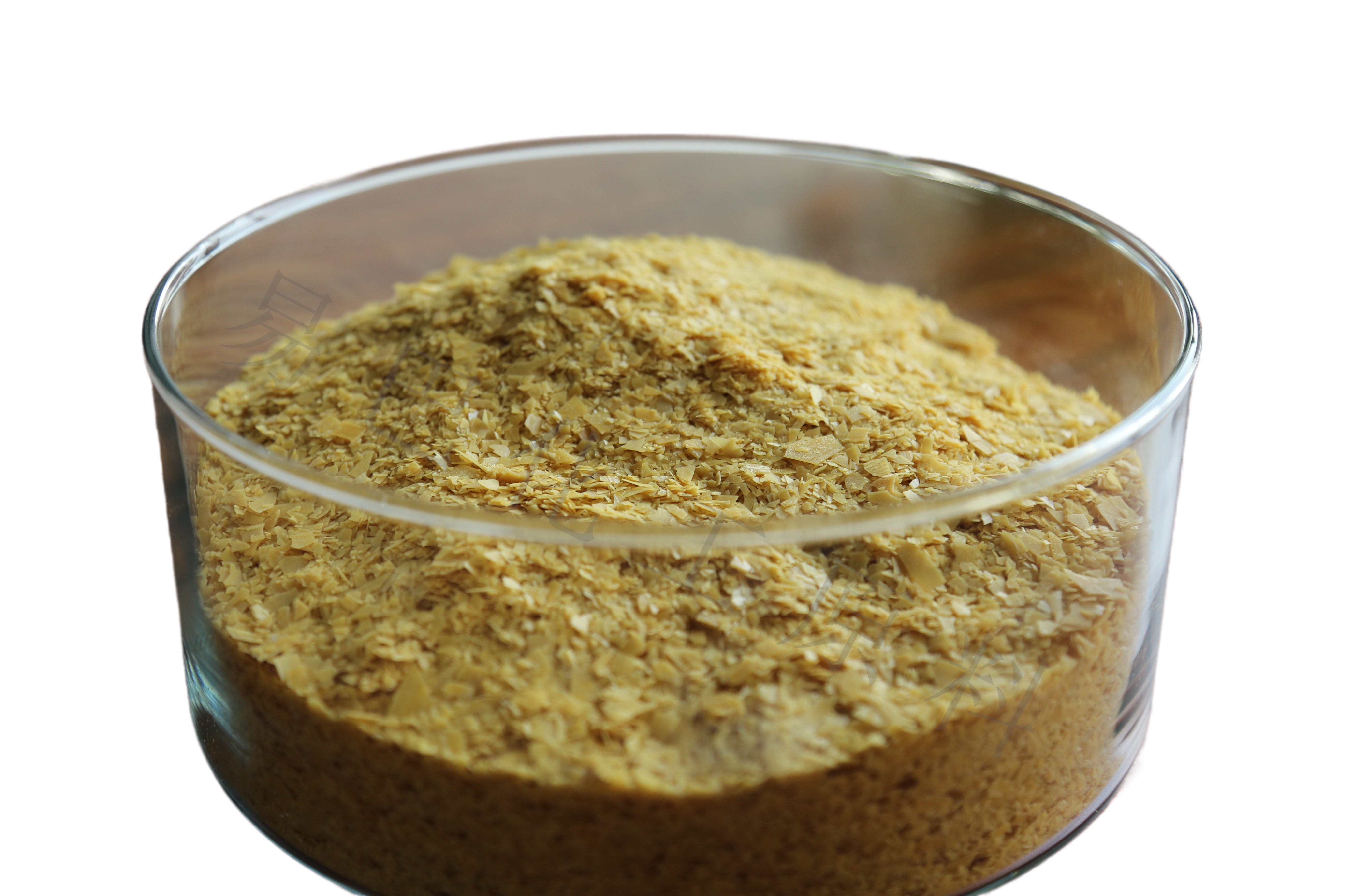 一棵樹巴西棕櫚蠟T3片