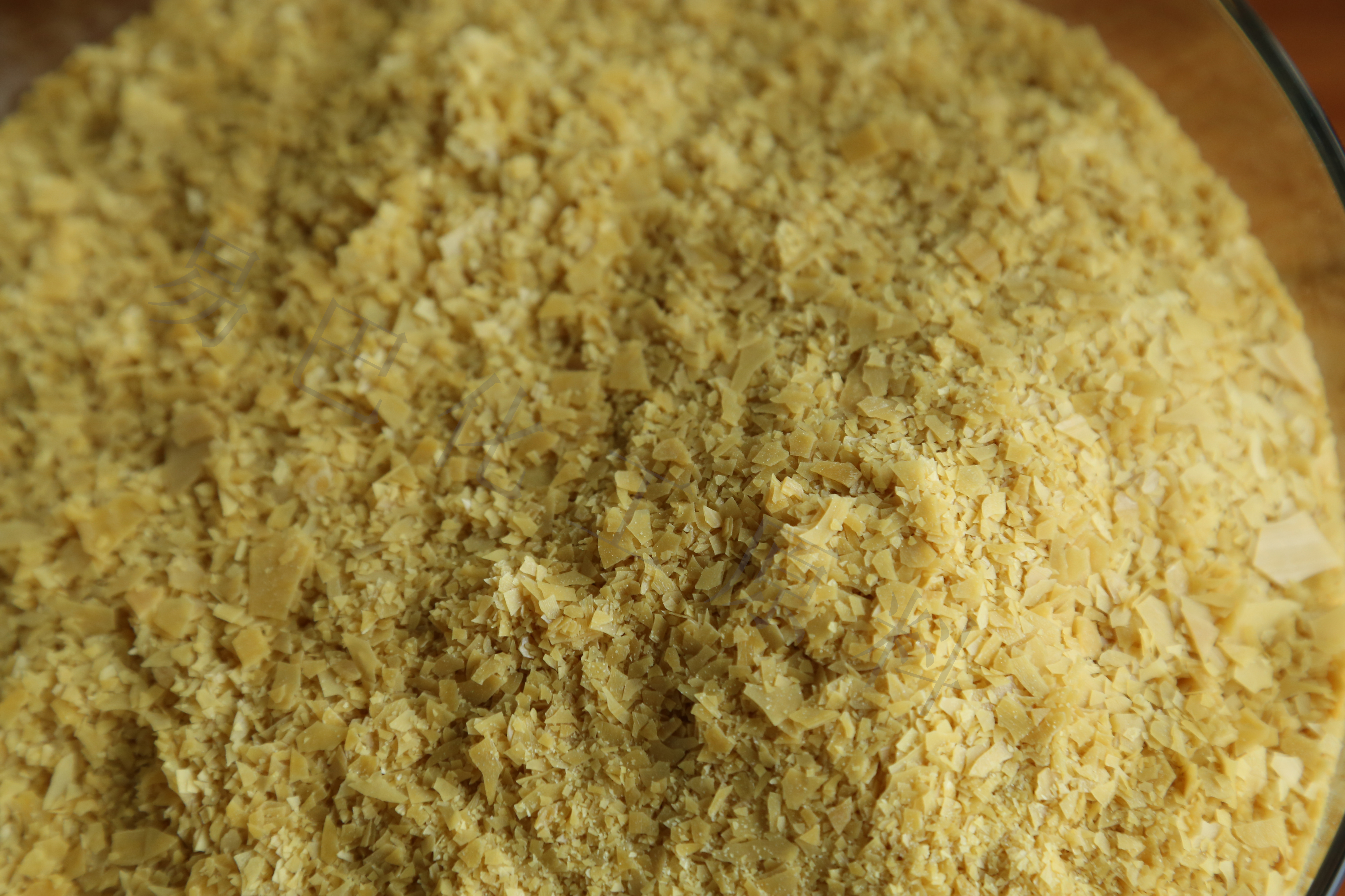 一棵樹巴西棕櫚蠟T3片