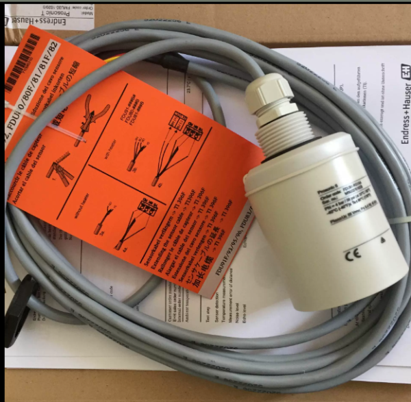 德國E+H 恩德斯豪斯 FDU91-RG2AA超聲波液位計探頭