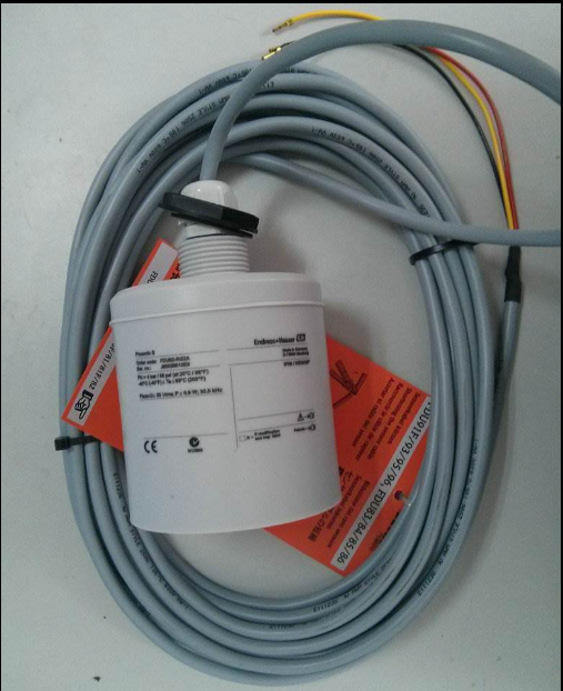 德國E+H 恩德斯豪斯 FDU91-RG2AA超聲波液位計探頭