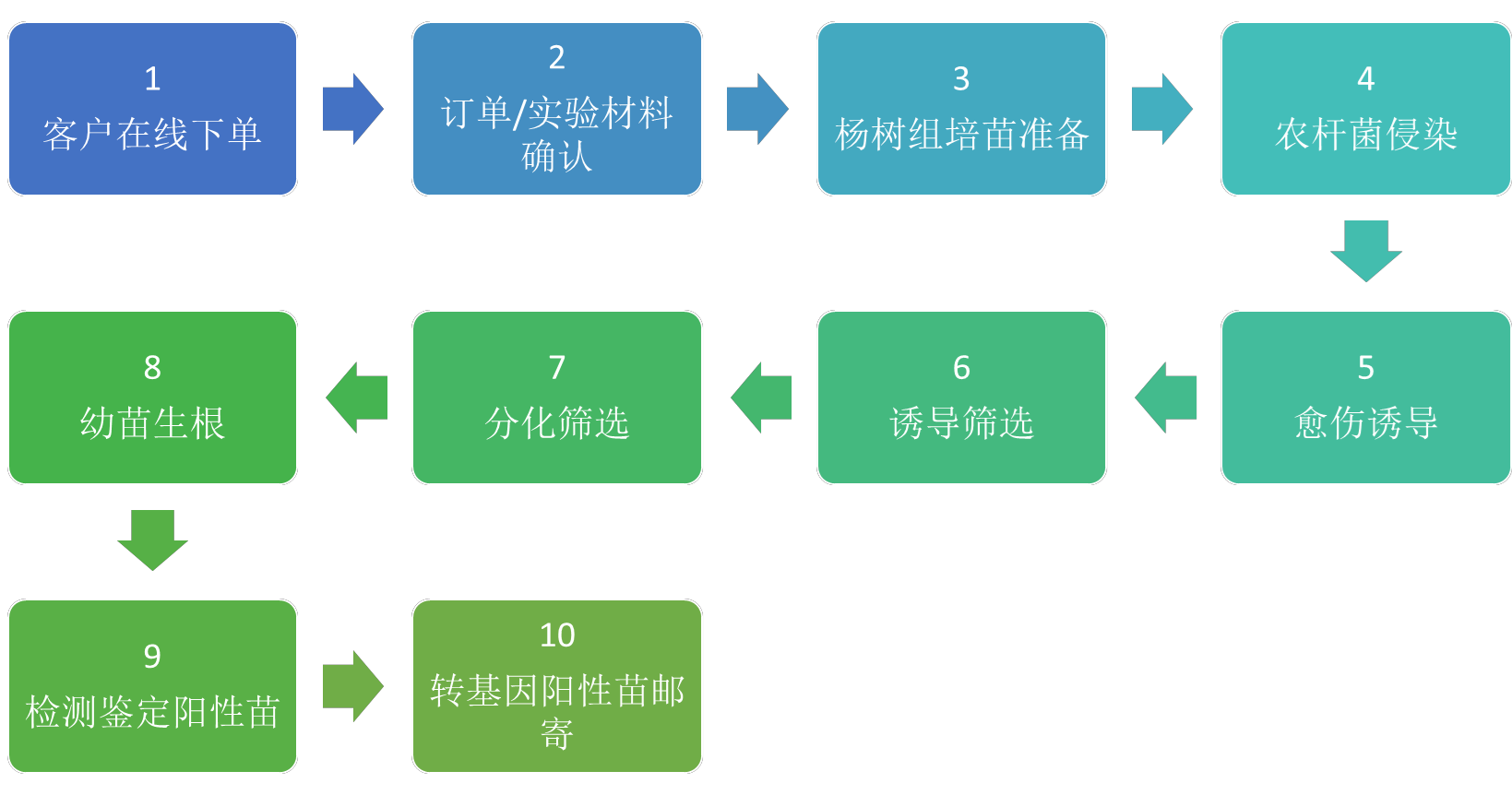服务流程.jpg